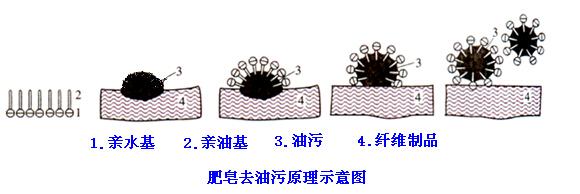 肥皂、洗衣粉和洗衣液三者有哪些區(qū)別？